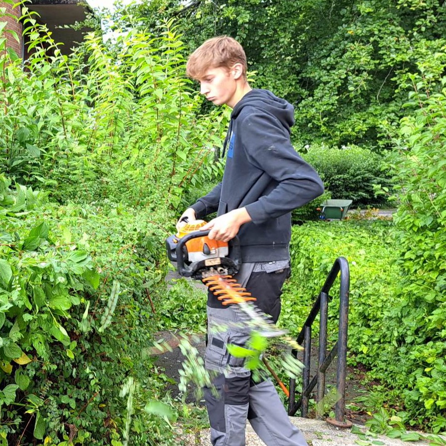 Parcs et jardin